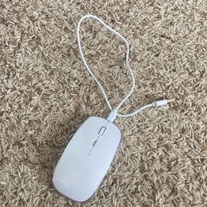 USB charging Bluetooth mouse.